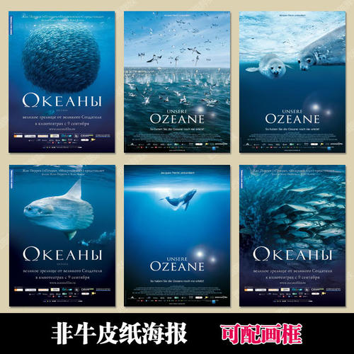 海地护照怎么购买